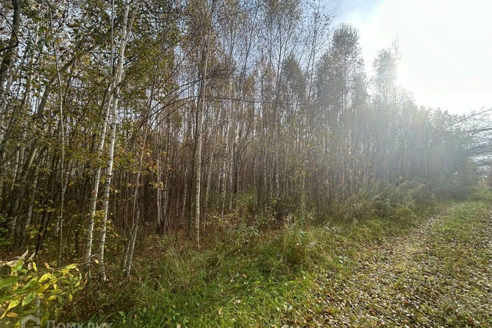 Лисьи ямки погода нижегородская область Лисьи ямки погода нижегородская область