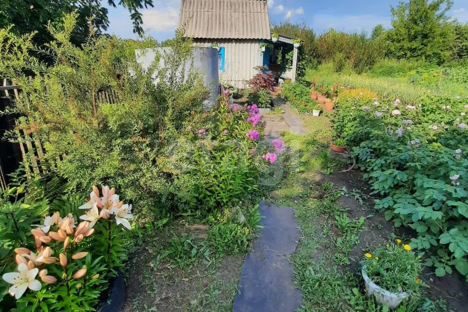 Купить Дачу В Снт Мичуринец 80 Кемерово