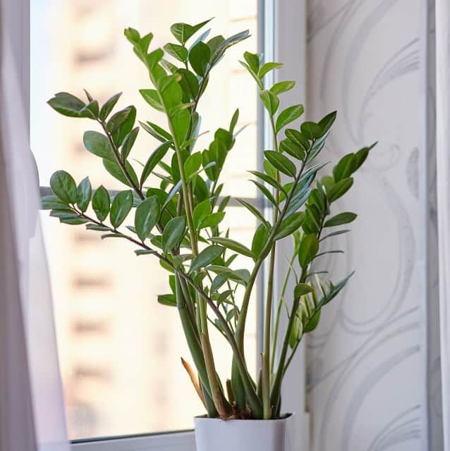 Продаётся 1-комнатная квартира, 47 м²