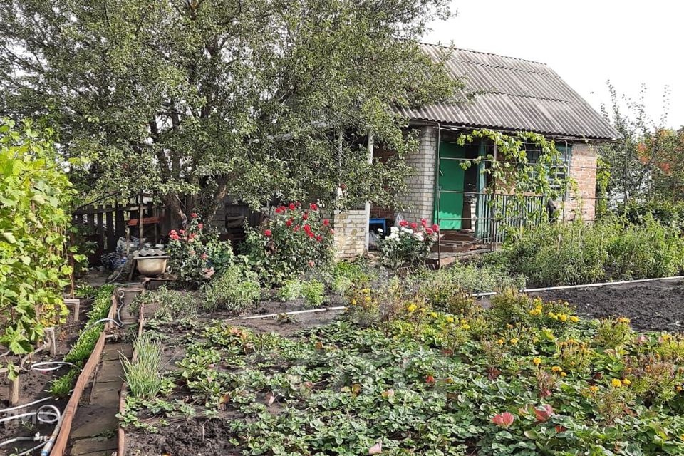 Купить Дом Пгт Северный Белгородский Район
