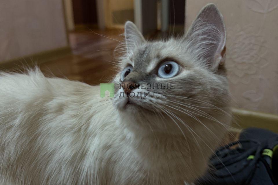 Сдаётся 2-комнатная квартира, 55 м²