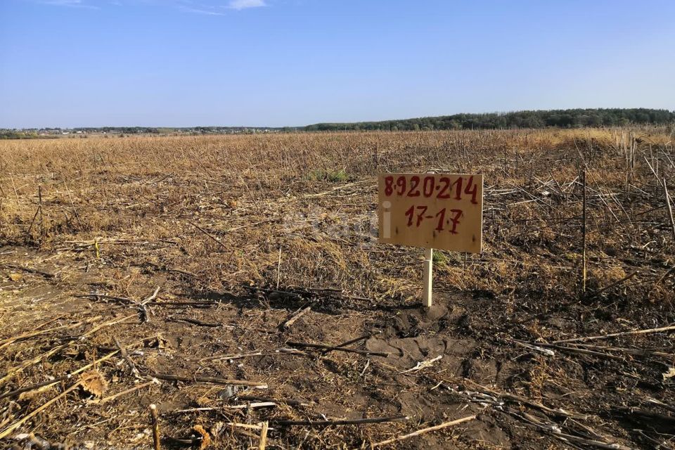 Участок В Медовке Воронеж Купить