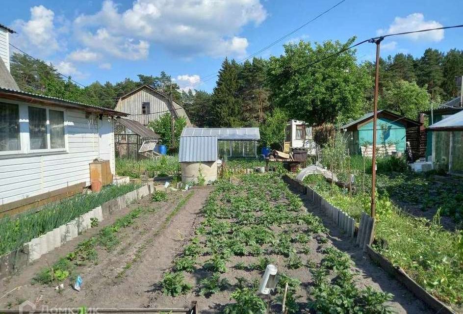 Купить Дачу В Новые Дарковичи Брянской Области