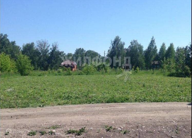 Купить Квартиру В Агролесе Искитимский Район