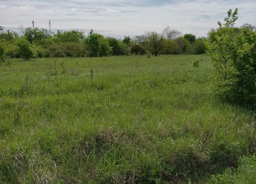 Продаётся участок, 65.16 сот., ИЖС