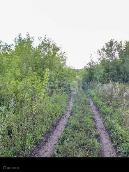 Купить Земельный Участок Поселок Бельмесево
