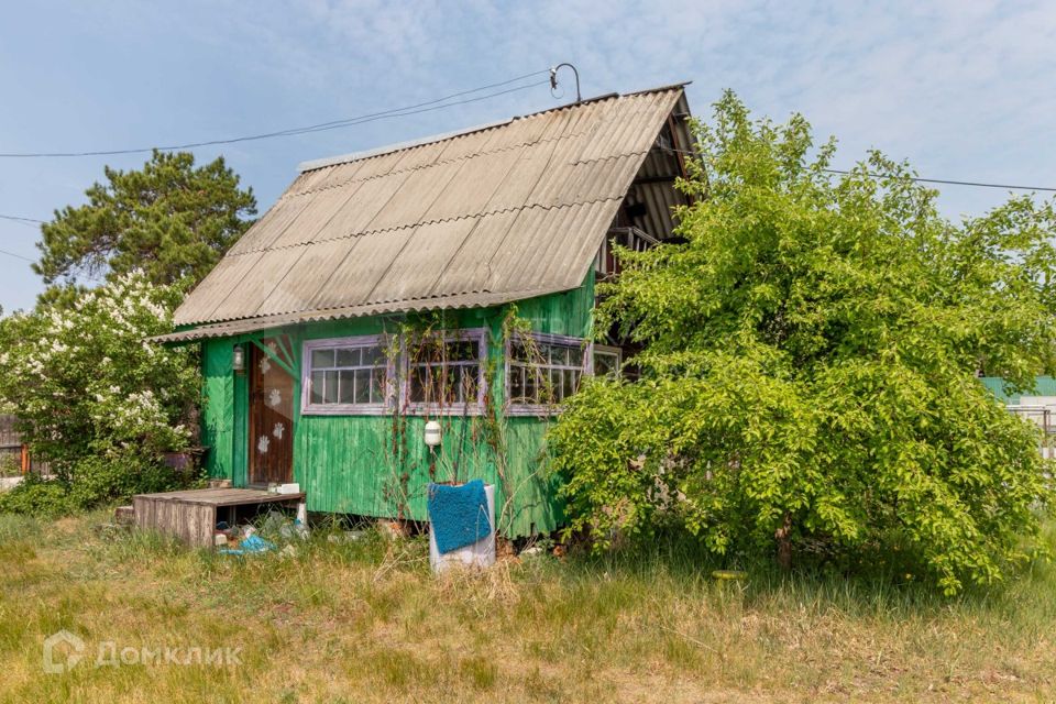 Дачи в тюменской районе. Снт дружба тюмень. Камышовка деревня. Дачи в тюменской районе. Снт целинное.