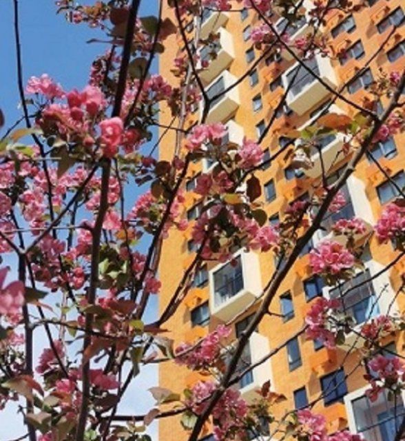 Продаётся 1-комнатная квартира, 32.9 м²