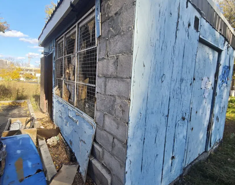 Продаётся помещение своб. назначения, 12.7 м²