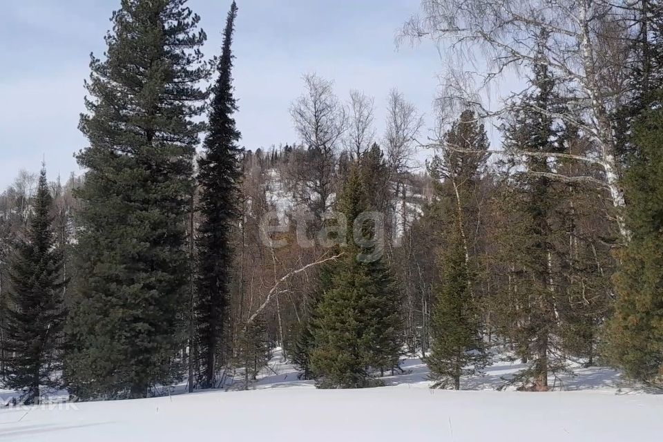 Лесхозная мыски