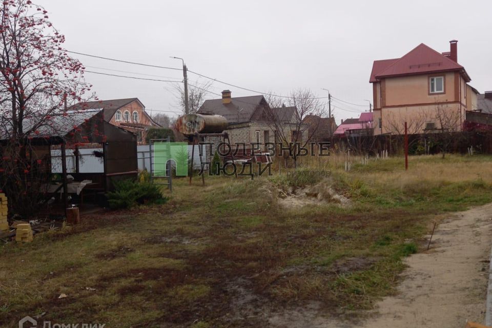 Хвойная тамбов