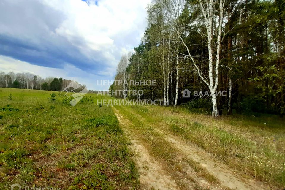 Великодворье шатурский. Уральский лес.