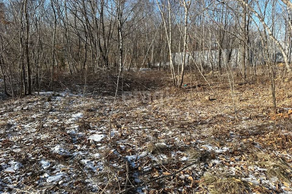 Снт морское