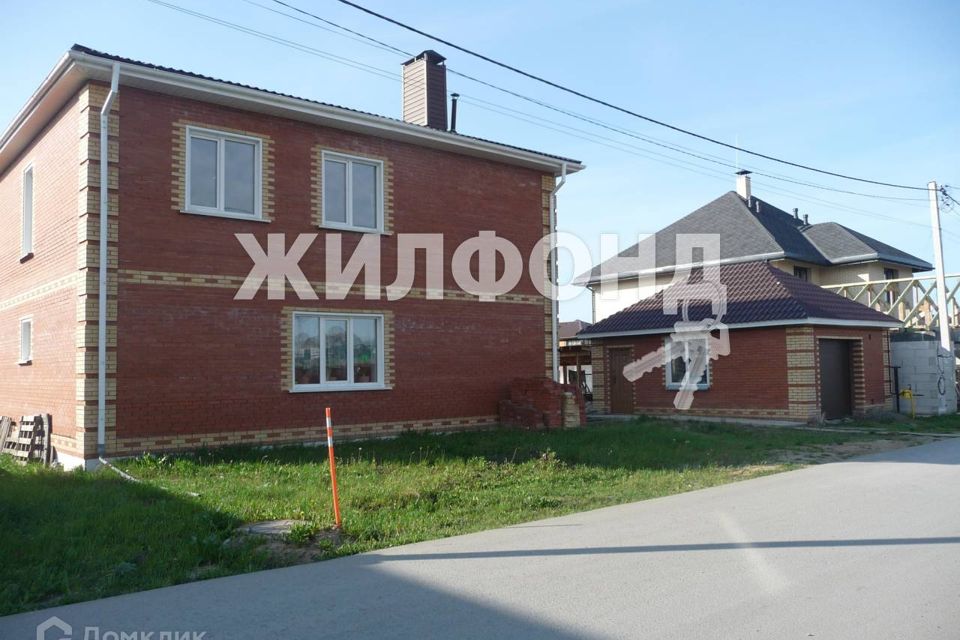 Интересные факты о новосибирске. Новосибирск 555. Новосибирск 555. Belaya 555 новосибирск. Новосибирск 555.