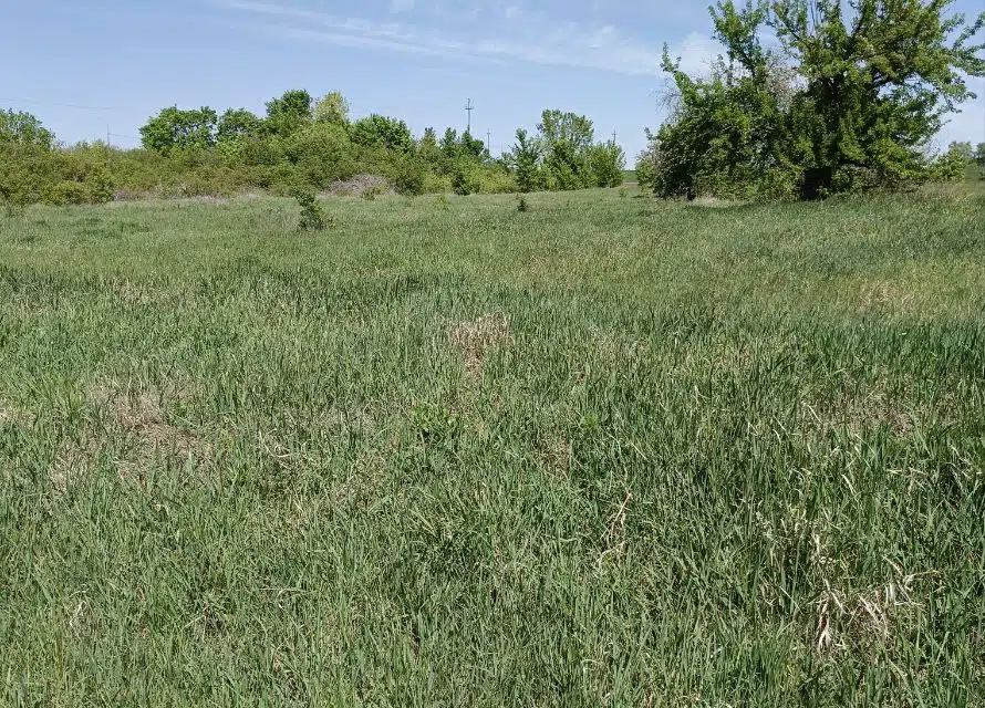 Продаётся участок, 65.16 сот., ИЖС