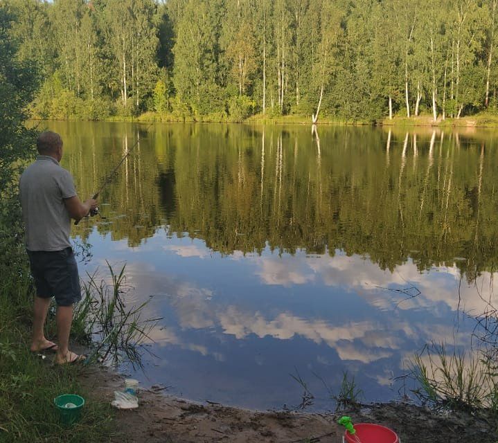 Купить Участок В Малой Вишере Новгородской Области