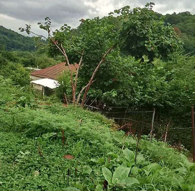 Купить Дом В Кривенковской Туапсинского Района