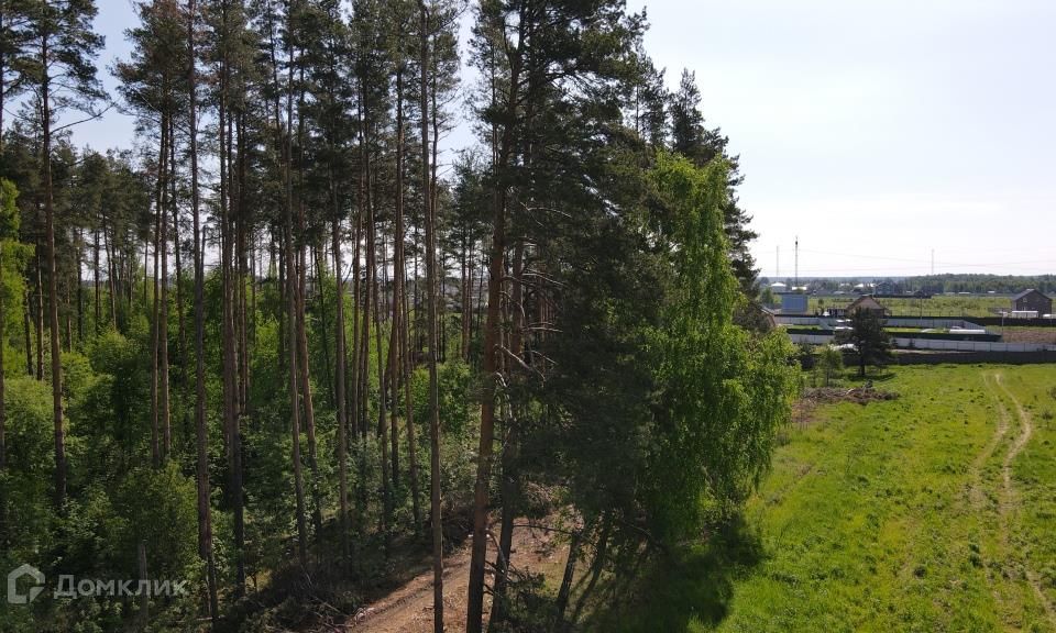 Еловой проезд. Еловой проезд