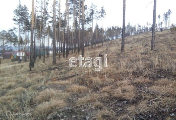 Ижс улан удэ. Тюмень Велижанский тракт лес. Велижанский тракт зеленый город. Коттеджный поселок Тюмень Велижанский тракт. СНТ Приозерный Велижанский тракт Тюмень.