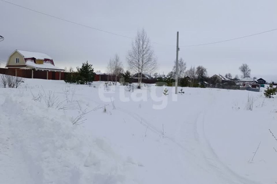 Р п досчатое