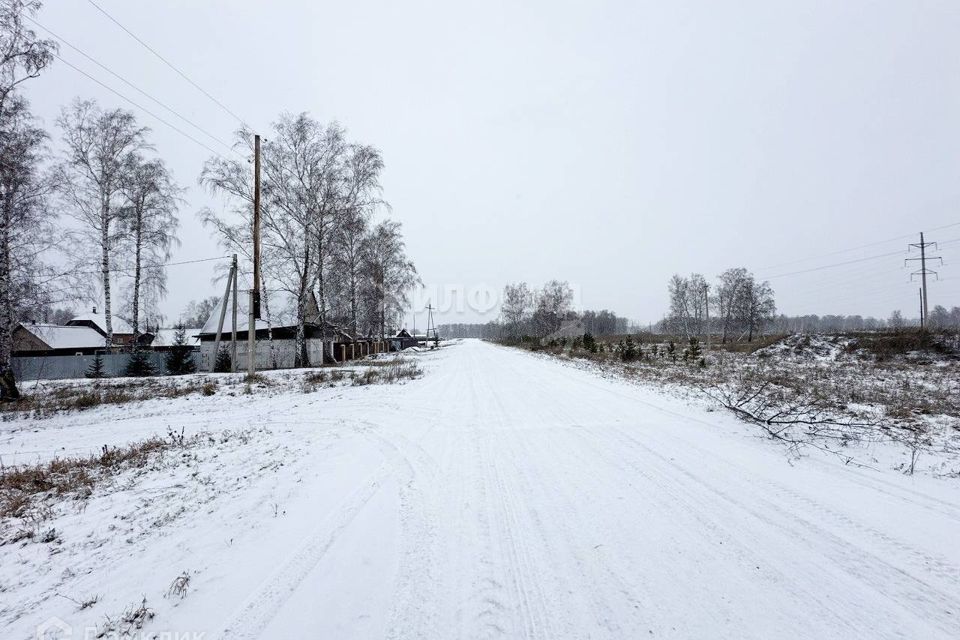 Боровая на участке. Село боровое. Село боровое новосибирская область. С. Снт автомобилист новосибирск.