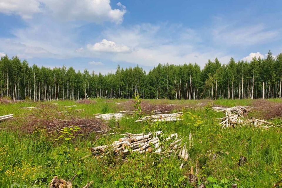 Земельные участки нижегородская область. Участок земли в Кстово. Продам участок Кстово. Купить участок в Нижегородской. 1 Мя Тиз при Бор 1980.