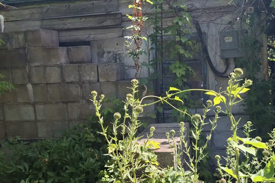 Продаётся 1-этажный дом, 41.3 м²