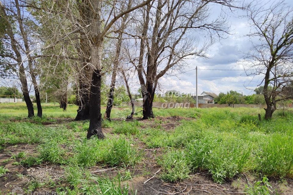 Участок в ахтубе. Улица наримана средняя ахтуба волгоградская область фото. Участок в ахтубе. Поселок колхозная ахтуба волгоградская область. Участок в ахтубе.