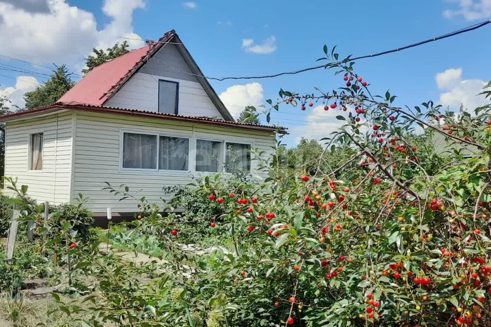 Купить Дачу В Омске Без Посредников