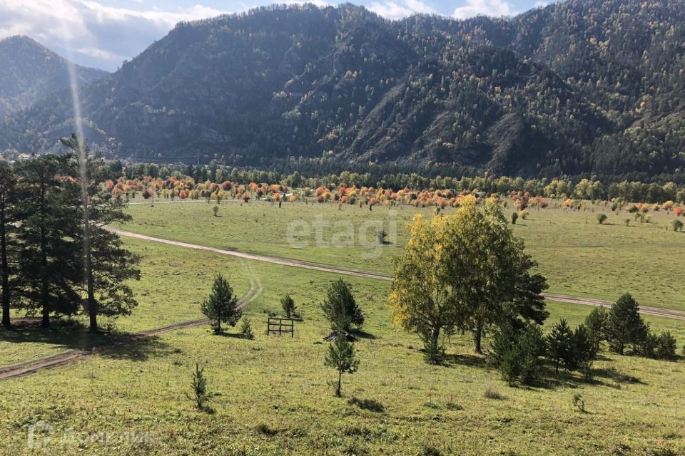 Село Узнезя Чемальский район Алтай