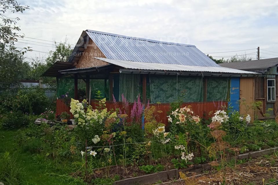 Купить Дачу В Городе Бор