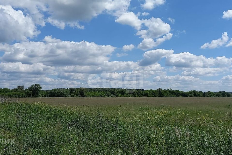 Купить Участок В Воронеже Рамонский Район
