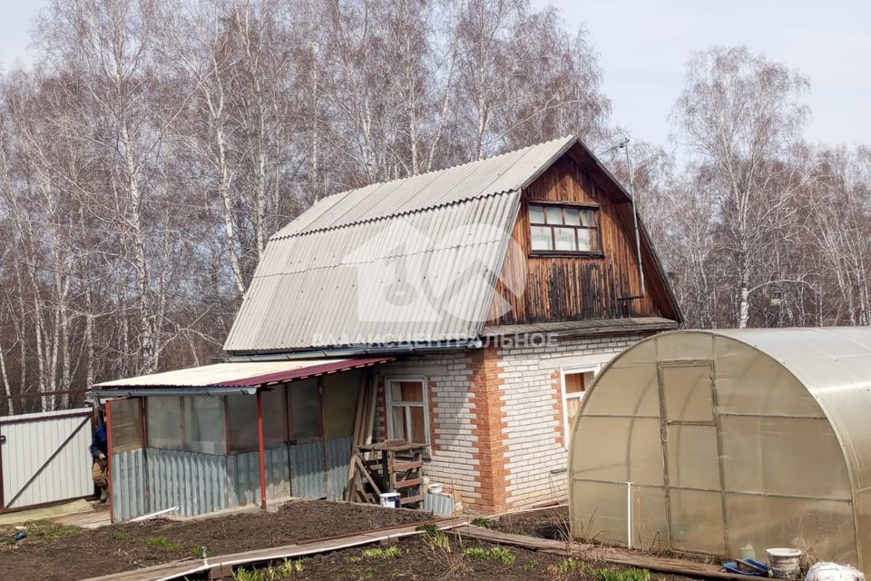 Купить Дачу В Бердске Недорого