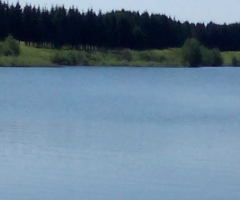 рыбалка благодать серебряно прудский. исток реки молома. рыбалка благодать серебряно прудский. о. московская область, г.