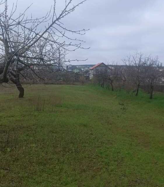Купить Землю Под Коммерцию В Натухаевской Станице