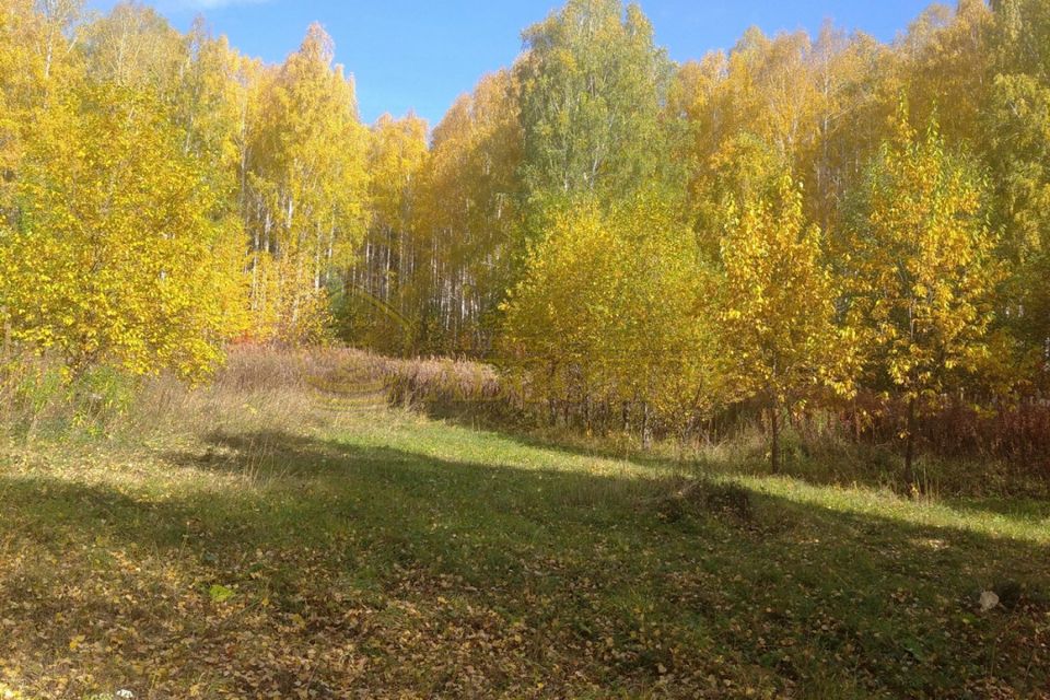 Купить Сад В Дегтярске Свердловской Области