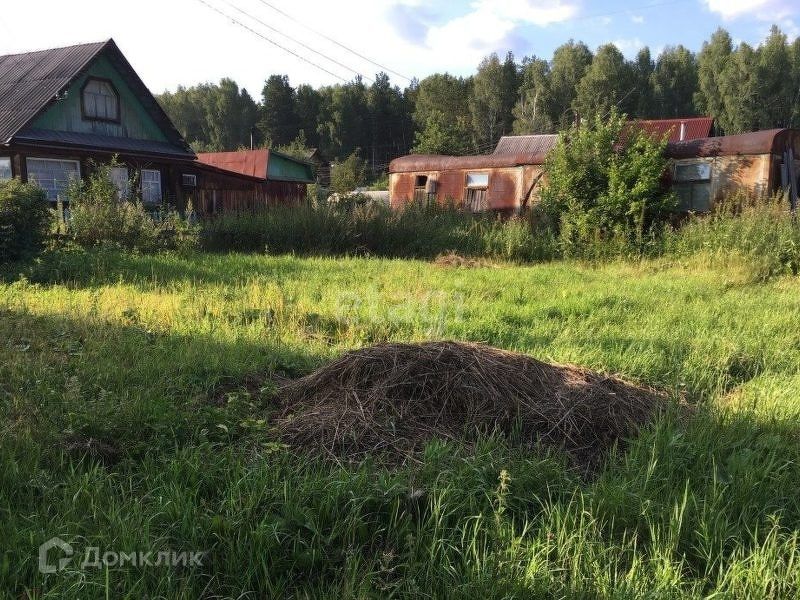 Купить Сад В Золотой Осени Нижний Тагил