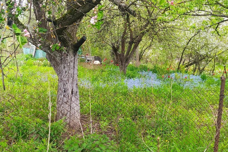 Купить Участок В Орле Мечте