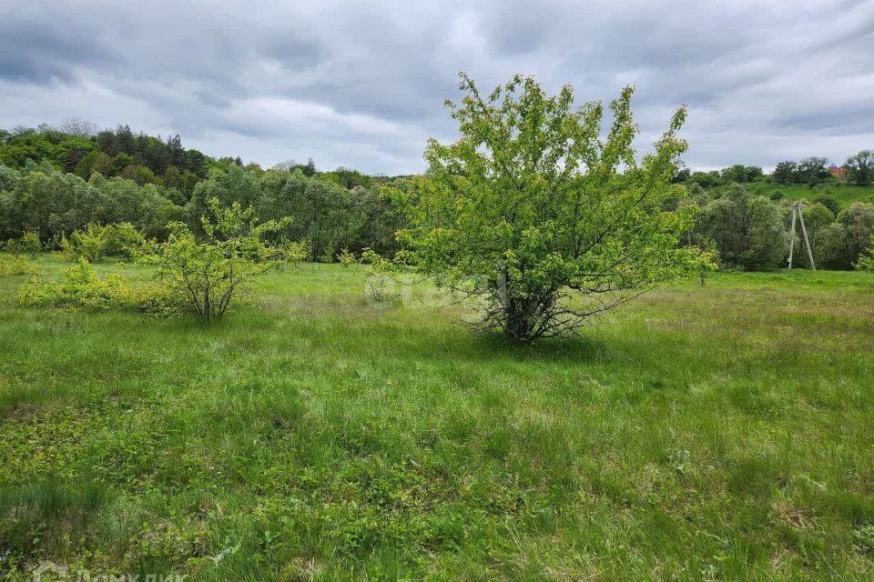 Купить Участок В Медовке Воронежской Области