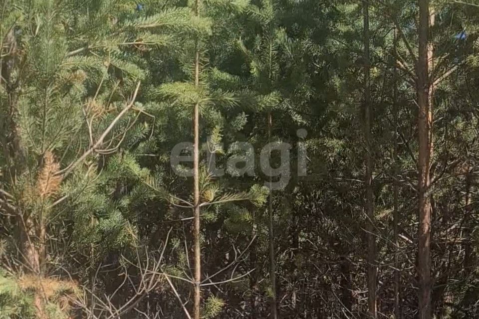Купить Участок В Малобрусянском Свердловской Области