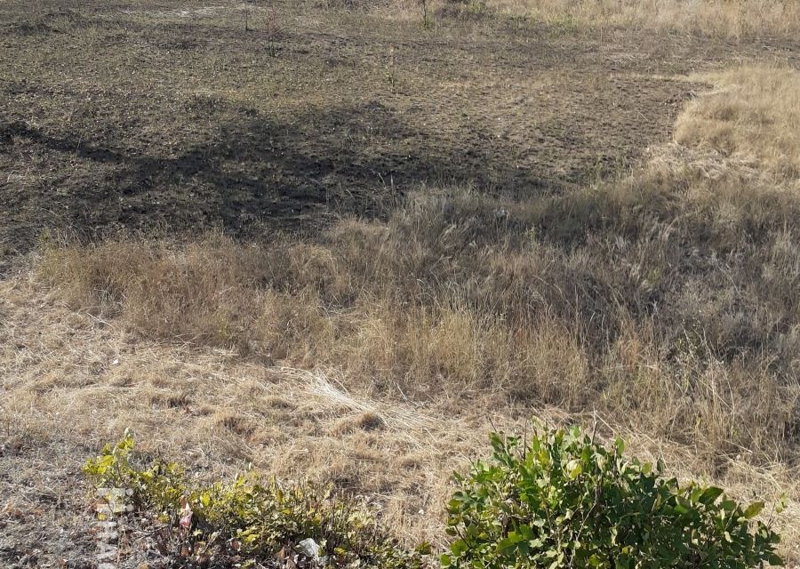 Продажа Участков В Ростовской Области