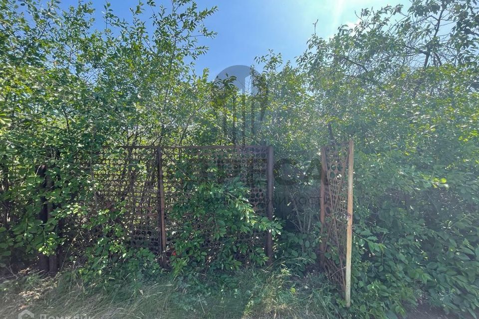 Купить Дачу В Ивановке Оренбург