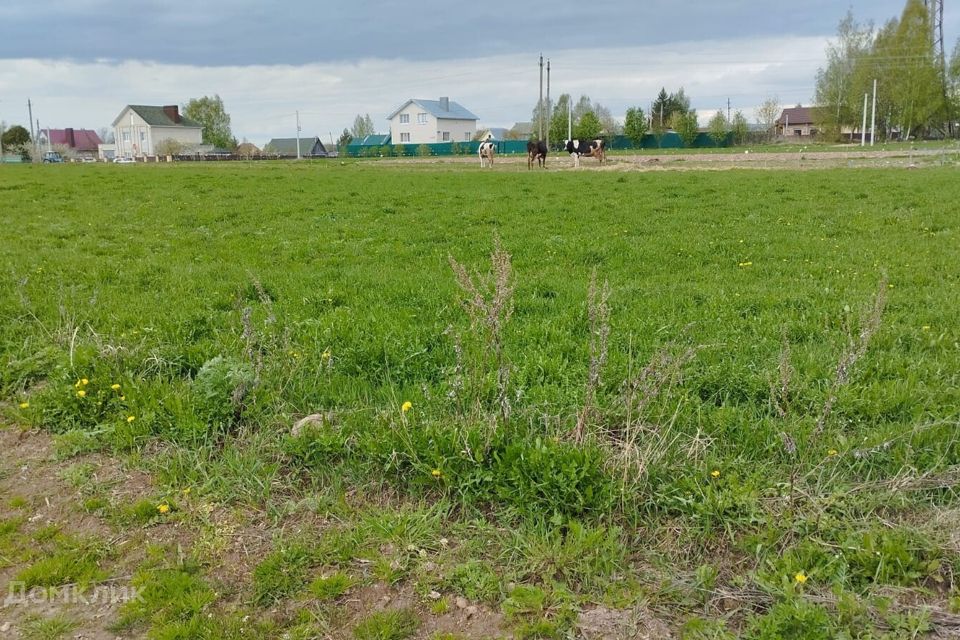 Купить Участок Костромская Область