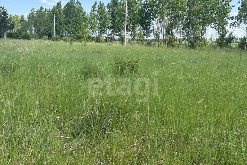 Купить Участок Снт Янтарь