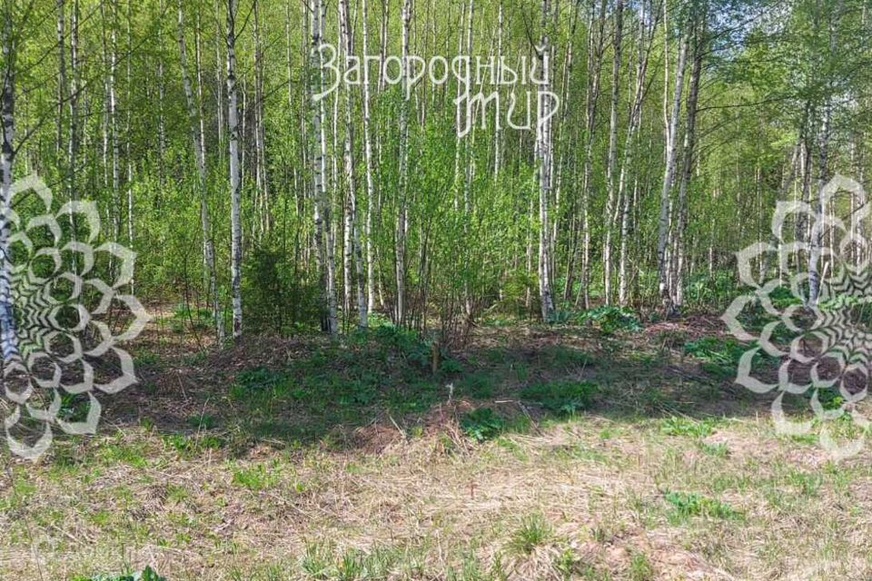 Купить Участок Ижс Московская Область Город