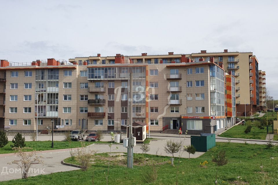 Светлогорск Недвижимость Купить Квартиру