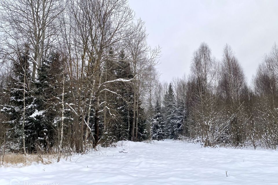 Подключение к городской канализации в клину