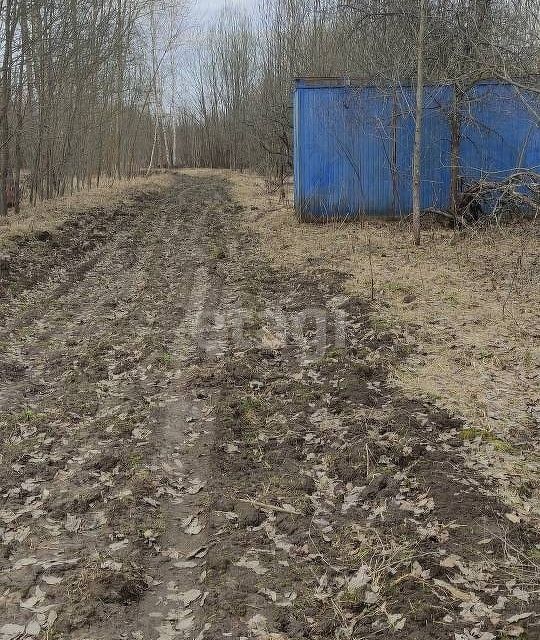 Д 342. Деревня Саксино