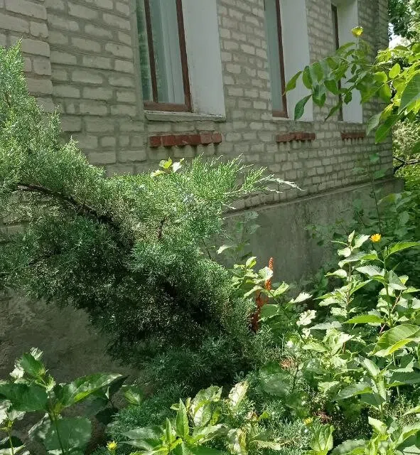 Продаётся 1-этажный дом, 65 м²