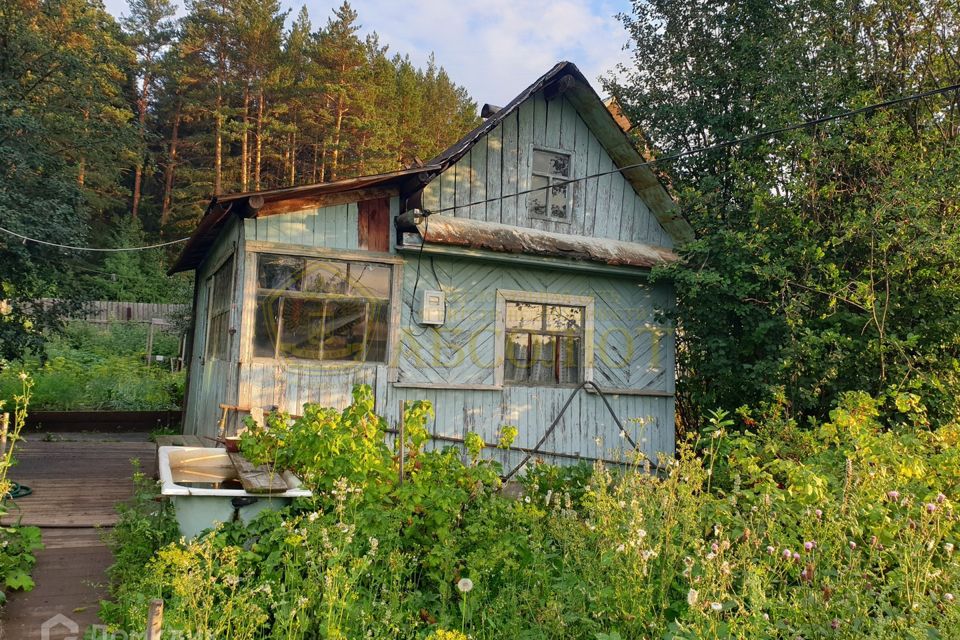 Купить Сад В Ревде Свердловской Области Недорого